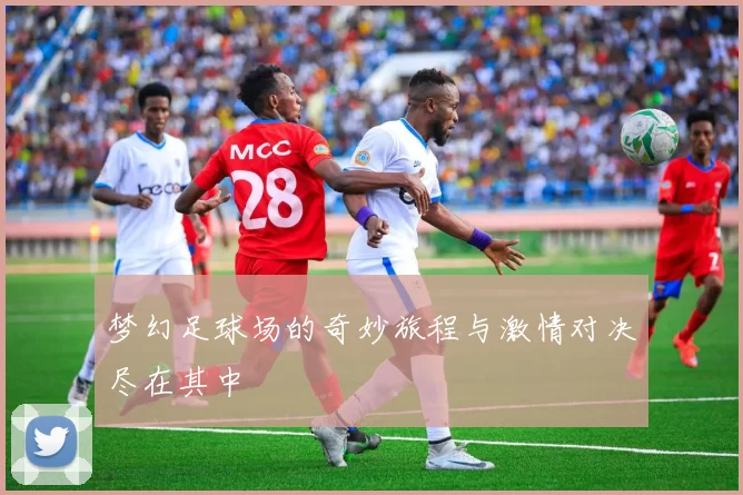 梦幻足球场的奇妙旅程与激情对决尽在其中